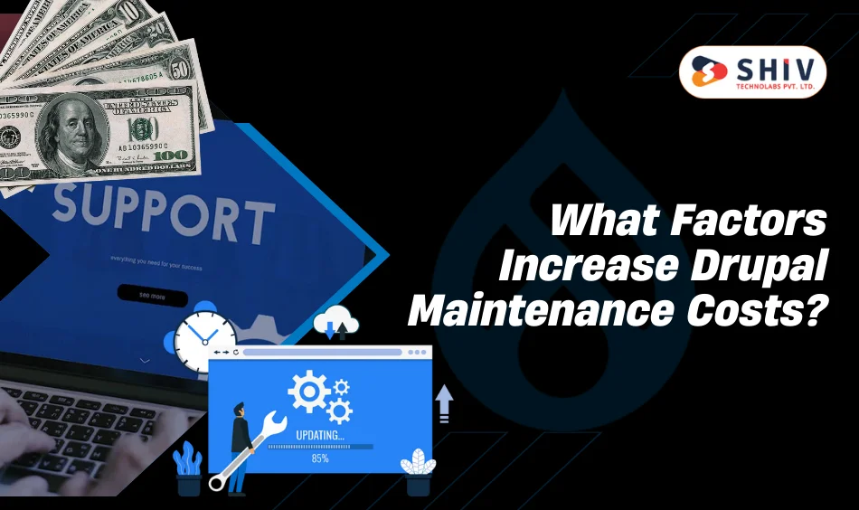 What Factors Increase Drupal Maintenance Costs