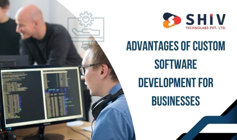 How Custom Software Development Can Increase Your Business Revenue