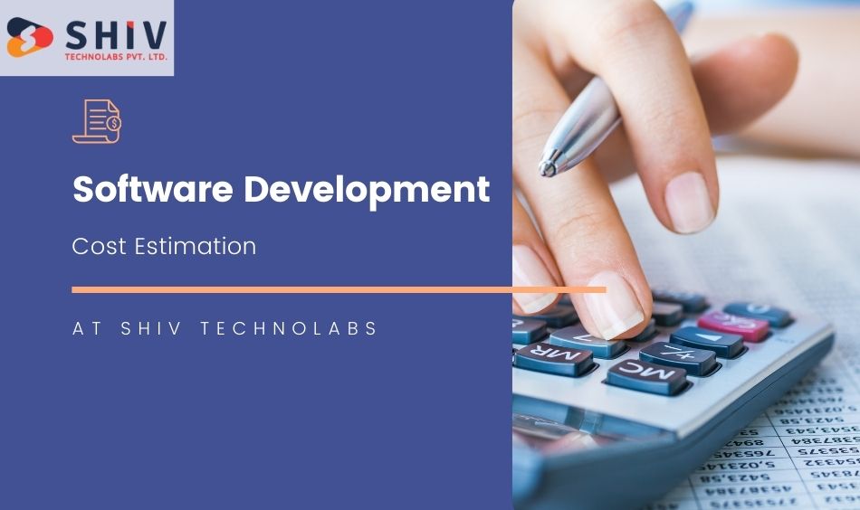 How Much Does Custom Software Development Cost