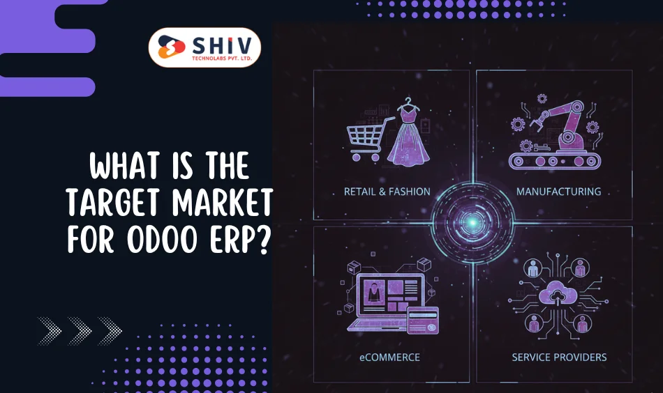 What Is the Target Market for Odoo ERP