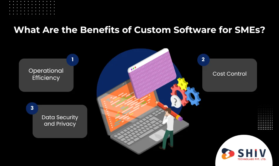 What Are the Benefits of Custom Software for SMEs
