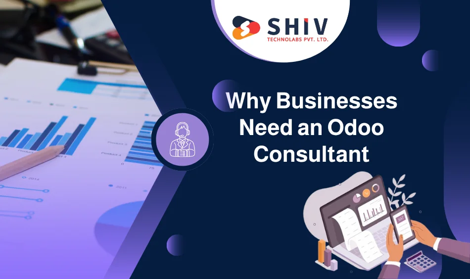 Why Businesses Need an Odoo Consultant
